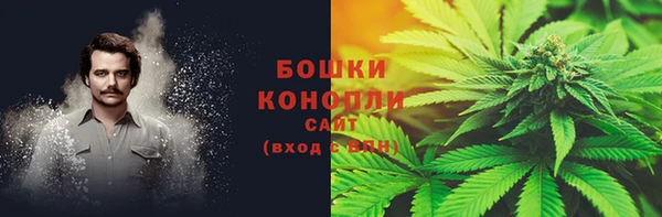 трава Горно-Алтайск