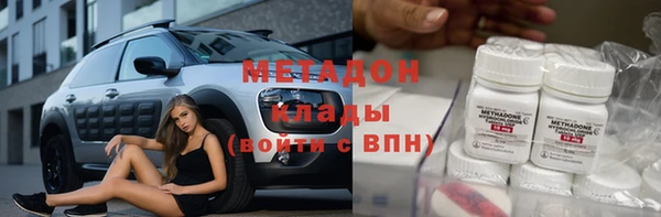 индика Гусь-Хрустальный