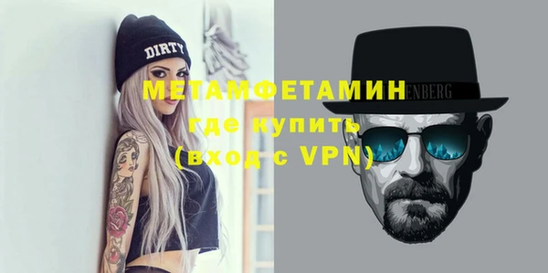 индика Гусь-Хрустальный
