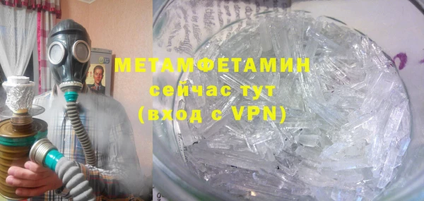 индика Гусь-Хрустальный