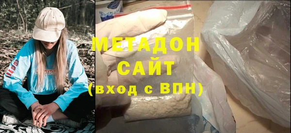 индика Гусь-Хрустальный