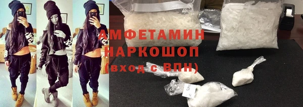 индика Гусь-Хрустальный