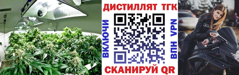 ТГК THC oil Дорогобуж