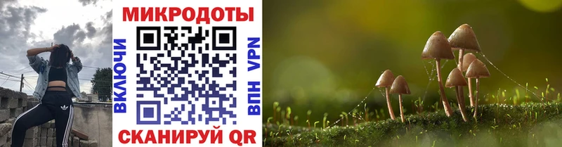 Псилоцибиновые грибы мухоморы Дорогобуж