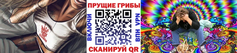 Псилоцибиновые грибы прущие грибы  Дорогобуж 